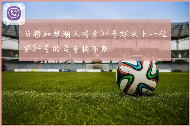 马穆加盟湖人将穿54号球衣上一位穿54号的是夸梅布朗